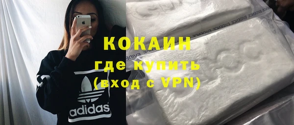 дурь Бородино