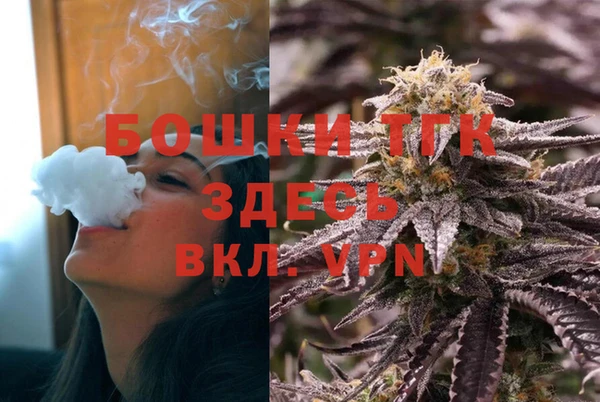первитин Богородицк