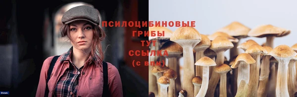 первитин Богородицк