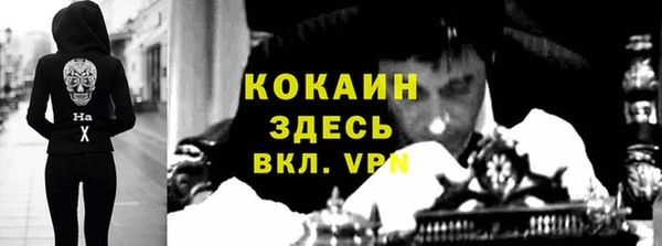 дурь Бородино