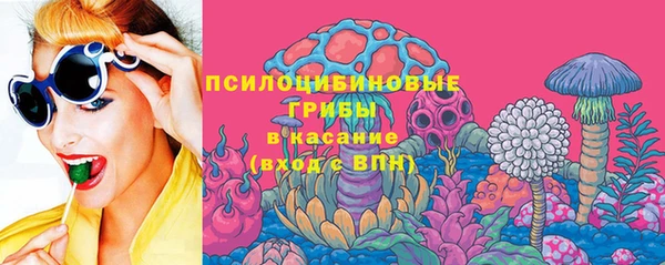 дурь Бородино