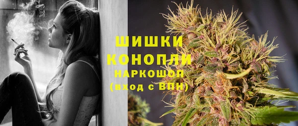 дурь Бородино