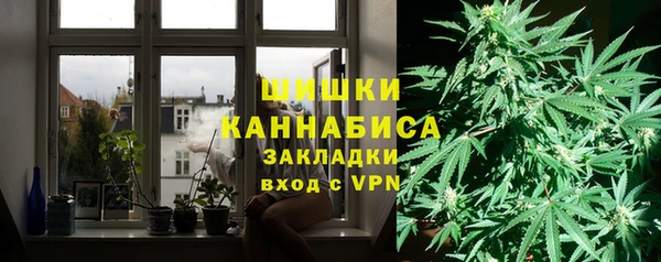дурь Бородино