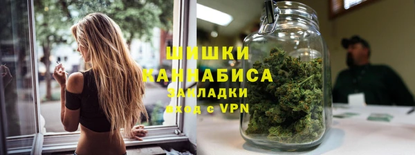 дурь Бородино