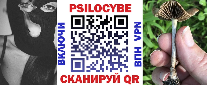 где найти наркотики  ссылка на мегу   Галлюциногенные грибы мухоморы  Сланцы 