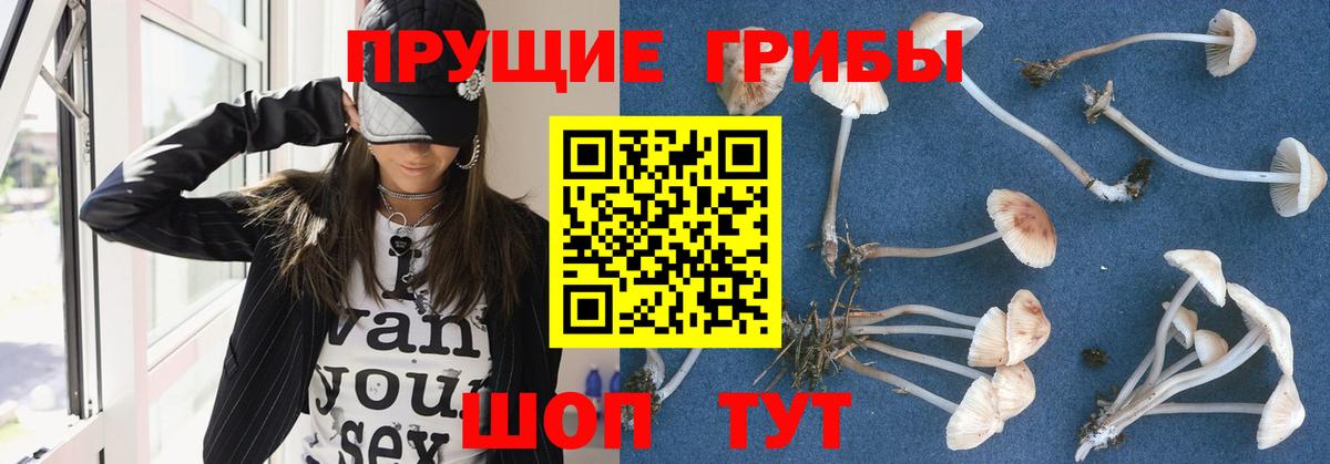 Галлюциногенные грибы GOLDEN TEACHER Сланцы
